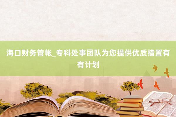 海口财务管帐_专科处事团队为您提供优质措置有有计划