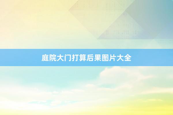 庭院大门打算后果图片大全