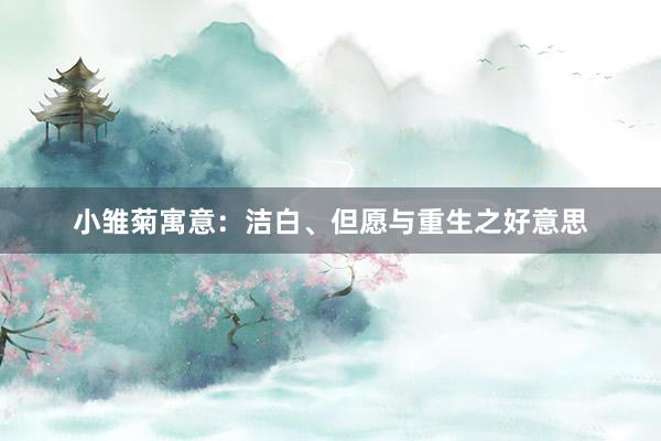 小雏菊寓意：洁白、但愿与重生之好意思