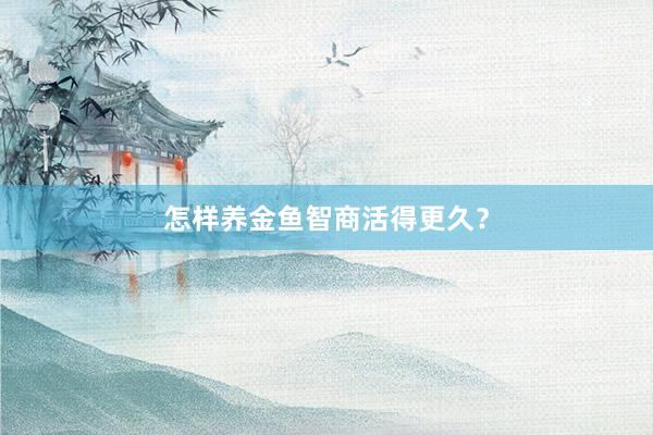 怎样养金鱼智商活得更久？